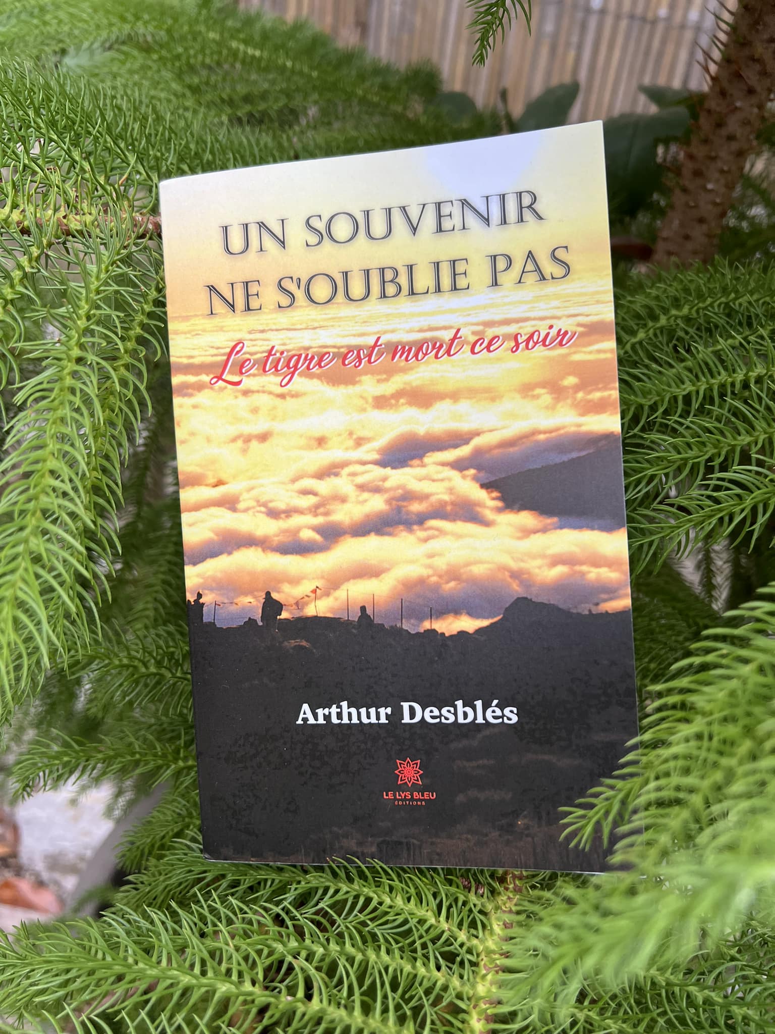 Avis de la chroniqueuse Valérie Chopin